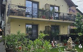 Casa Pescarus Guest House